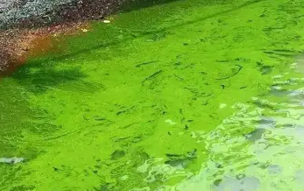 氨氮和总氮的区别